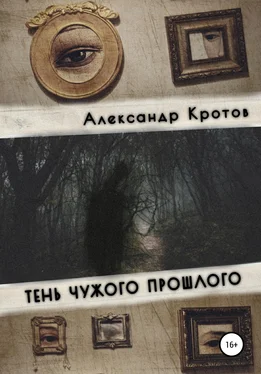 Александр Кротов Тень чужого прошлого обложка книги