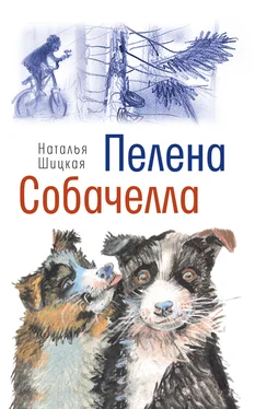 Наталья Шицкая Пелена. Собачелла обложка книги