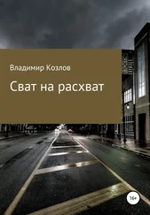 Владимир Козлов - Сват на расхват