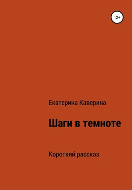 Екатерина Каверина Шаги в темноте обложка книги