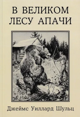 Джеймс Уиллард Шульц В Великом лесу Апачи обложка книги