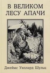 Джеймс Уиллард Шульц - В Великом лесу Апачи