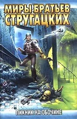 Аркадий Стругацкий - Пикник на обочине