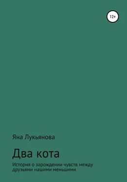Яна Лукьянова Два кота обложка книги