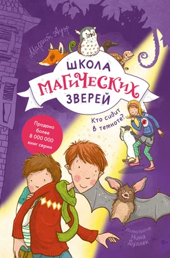 Маргит Ауэр Школа магических зверей. Кто сидит в темноте? обложка книги