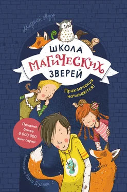 Маргит Ауэр Школа магических зверей. Приключения начинаются! обложка книги