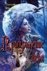 Екатерина Федорова - Пробуждение зверя
