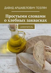 Давид Тозлян - Простыми словами о хлебных заквасках. Самоучитель