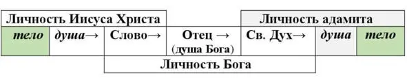 Стрелками обозначена последовательность передачи информации повеления от - фото 1