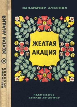 Владимир Дубовка Желтая акация обложка книги