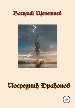 Василий Щепетнев Посредник Драконов обложка книги