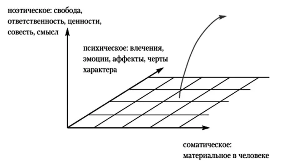 Рис 123 Дименсиональная онтология В Франкла Источник Орлов А Б - фото 44