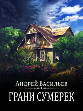 Андрей Васильев Грани сумерек обложка книги