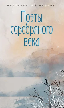 Array Сборник Поэты Серебряного века обложка книги