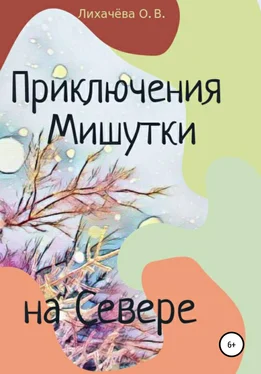 Ольга Лихачёва Приключения Мишутки на Севере обложка книги
