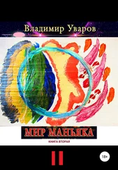 Владимир Уваров - Мир Маньяка. Книга вторая