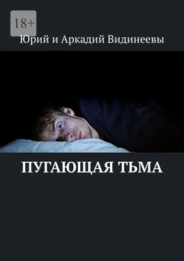 Юрий и Аркадий Видинеевы Пугающая тьма обложка книги