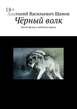 Анатолий Шамов Чёрный волк. Философская и любовная лирика обложка книги