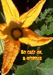 Н. Козлова - Во саду ли, в огороде