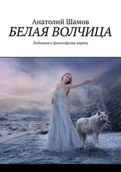 Анатолий Шамов - Белая волчица. Любовная и философская лирика