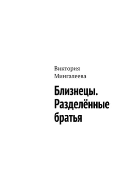 Виктория Мингалеева Близнецы. Разделённые братья обложка книги