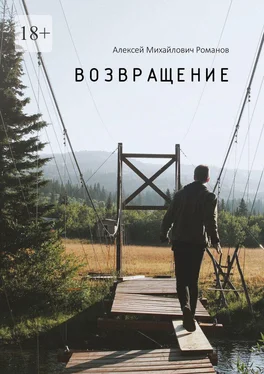 Алексей Романов Возвращение обложка книги