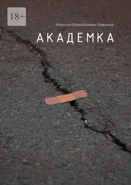 Алексей Романов Академка обложка книги