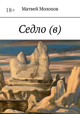 Матвей Молохов Седло (в) обложка книги