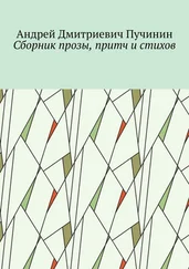 Андрей Пучинин - Сборник прозы, притч и стихов
