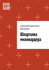 Алексей Шиперко - Шпаргалка миллиардера