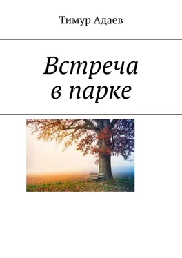 Тимур Адаев Встреча в парке обложка книги