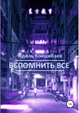 Адиль Койшибаев Вспомнить все обложка книги
