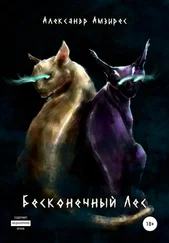 Александр Амзирес - Бесконечный Лес