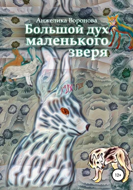 Анжелика Воронова Большой дух маленького зверя обложка книги