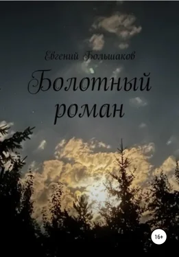 Евгений Большаков Болотный роман обложка книги