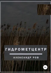 Александр Ров - Гидрометцентр