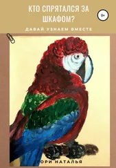 Наталья Гори - Кто спрятался за шкафом?