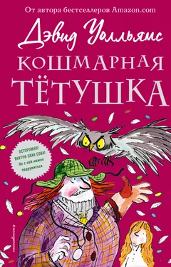 Дэвид Уолльямс Кошмарная тётушка обложка книги