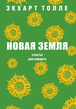 Экхарт Толле Новая земля. Счастье для каждого обложка книги