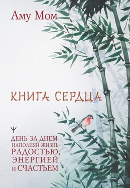 Аму Мом Книга Сердца. День за днем наполняй жизнь радостью, энергией и счастьем обложка книги