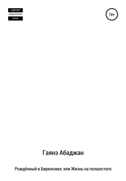 Гаянэ Абаджан Рождённый в Бирюковке, или Жизнь на полшестого обложка книги