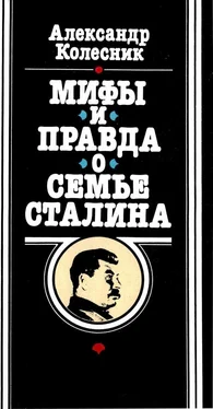 Александр Колесник Мифы и правда о семье Сталина обложка книги