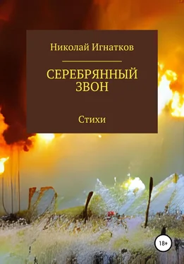 Николай Игнатков Серебрянный звон обложка книги