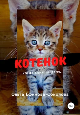 Ольга Ефимова-Соколова Котенок обложка книги