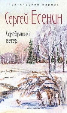 Сергей Есенин Серебряный ветер обложка книги