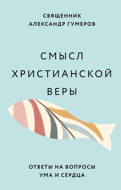 Александр Гумеров Смысл христианской веры. Ответы на вопросы ума и сердца обложка книги