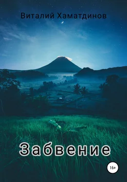 Виталий Хаматдинов Забвение обложка книги