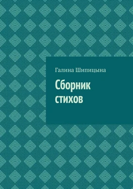 Галина Шипицына Сборник стихов обложка книги