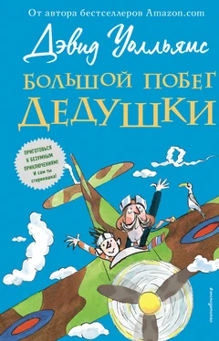 Дэвид Уолльямс Большой побег дедушки обложка книги