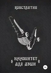 Константин - Иммунитет для души